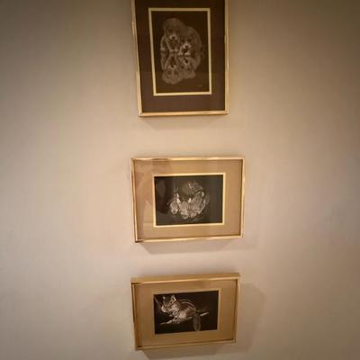 Sale Photo Thumbnail #33