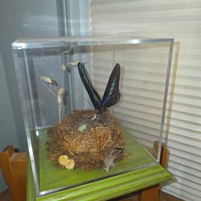 Sale Photo Thumbnail #101