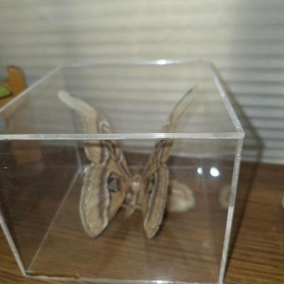 Sale Photo Thumbnail #100