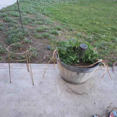 Sale Photo Thumbnail #150