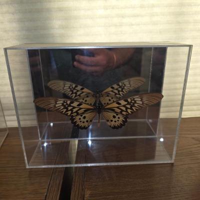 Sale Photo Thumbnail #99