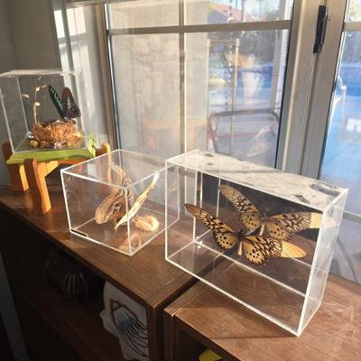 Sale Photo Thumbnail #96