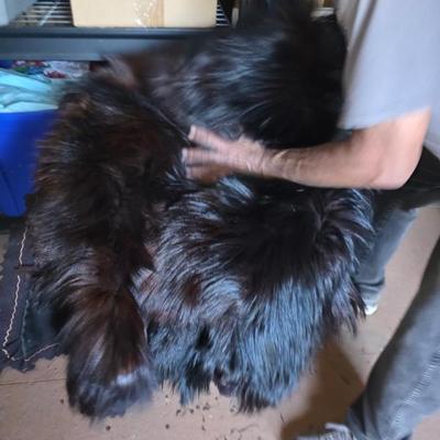 Sale Photo Thumbnail #40