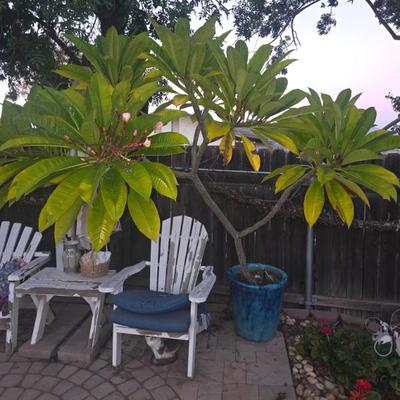 Sale Photo Thumbnail #61