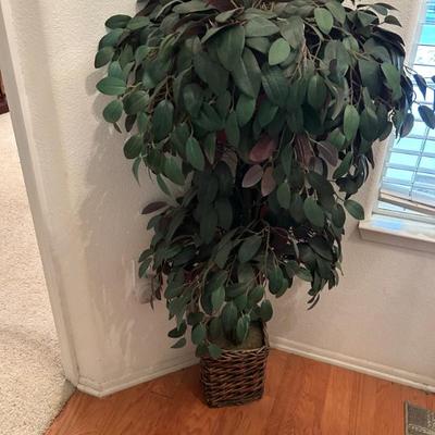 Sale Photo Thumbnail #2