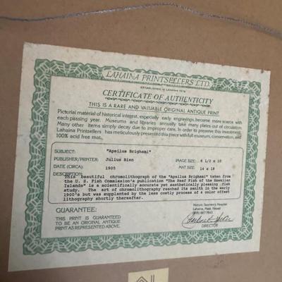 Sale Photo Thumbnail #38