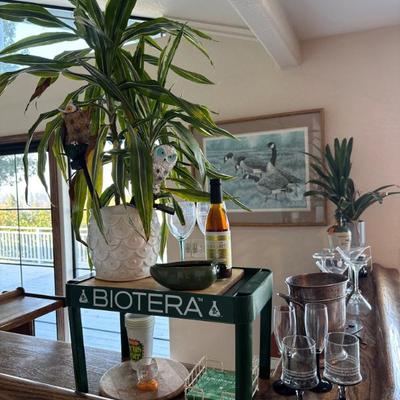 Sale Photo Thumbnail #339