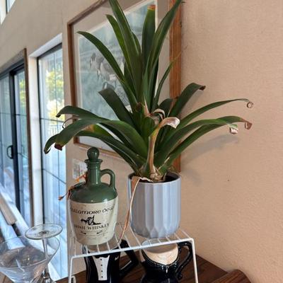 Sale Photo Thumbnail #340