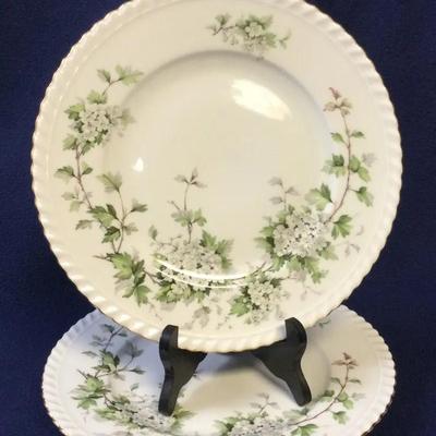 Franconia - Krautheim “Hawthorne” Porcelain Dinner Plates, 2pc.