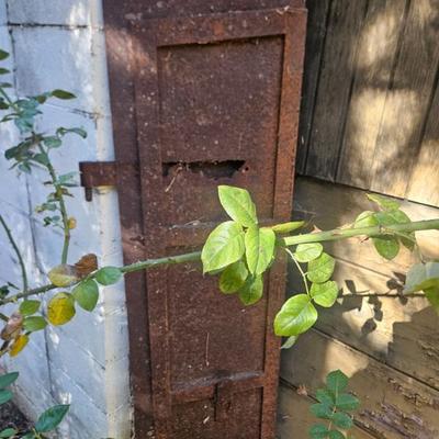 Sale Photo Thumbnail #41