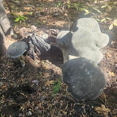 Sale Photo Thumbnail #12