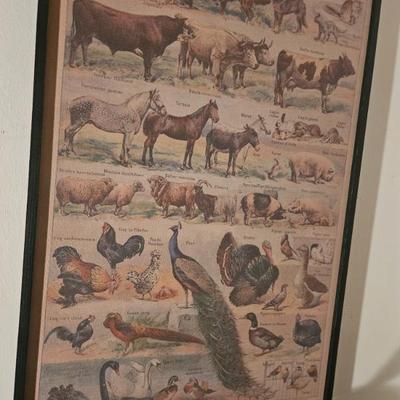 Sale Photo Thumbnail #64