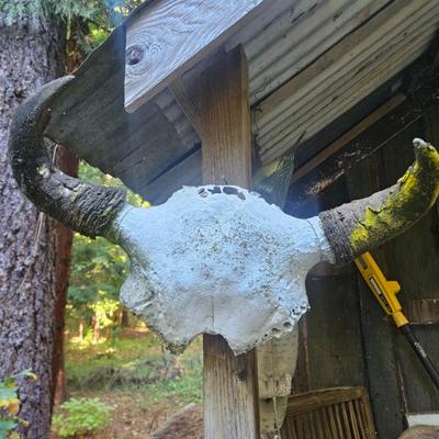 Sale Photo Thumbnail #35