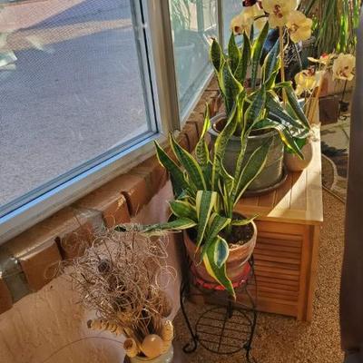 Sale Photo Thumbnail #23