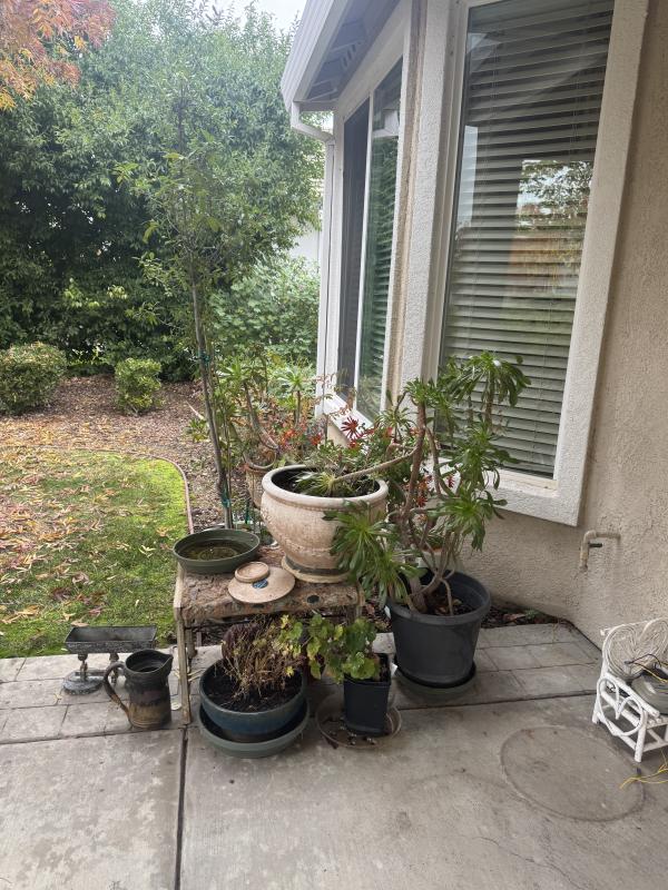 Sale Photo Thumbnail #26