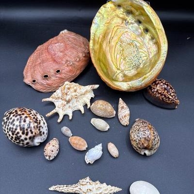 Sale Photo Thumbnail #194