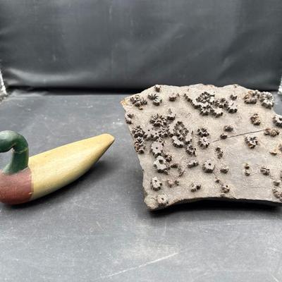 Sale Photo Thumbnail #747