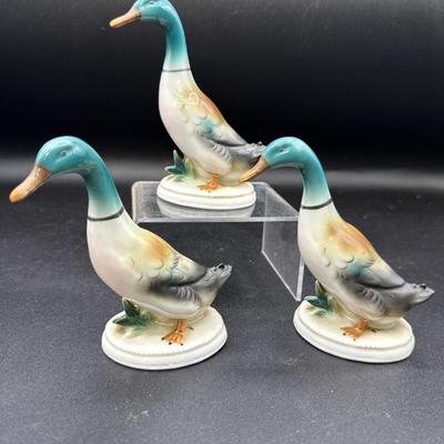 Sale Photo Thumbnail #86