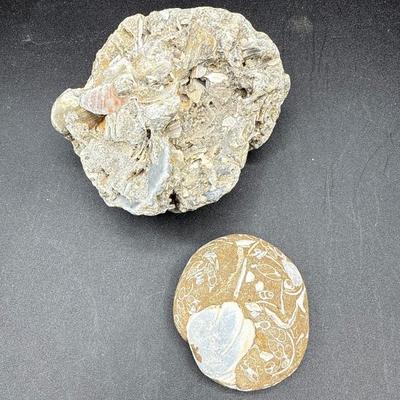 Sale Photo Thumbnail #442