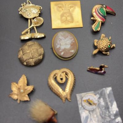 Pins and Scarf Clips