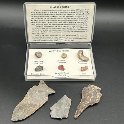 Authentic Arrowheads With “What Is A Fossil” Collection Guide
