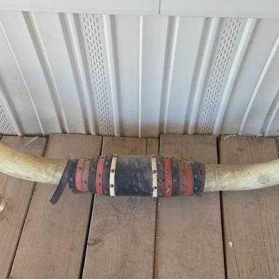 58" Long - Large Vintage Mounted Texas Longhorns - Leather Center