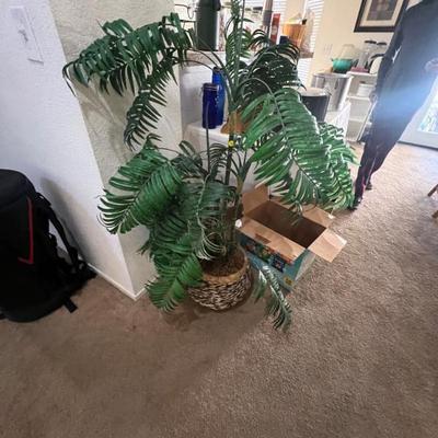 Sale Photo Thumbnail #26