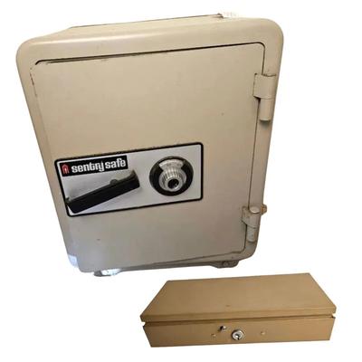 SentrySafe Combination Floor Safe & Buddy Products Metal Security Box