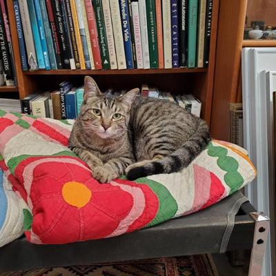 Sale Photo Thumbnail #66