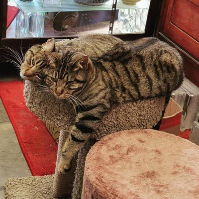 Sale Photo Thumbnail #98