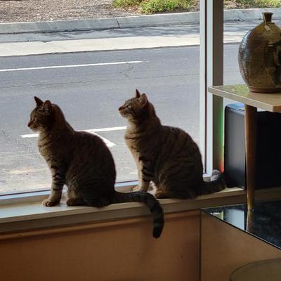 Sale Photo Thumbnail #95