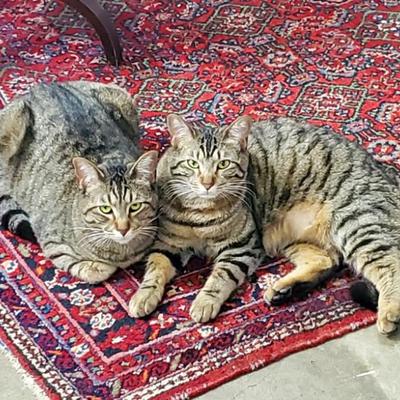 Sale Photo Thumbnail #81