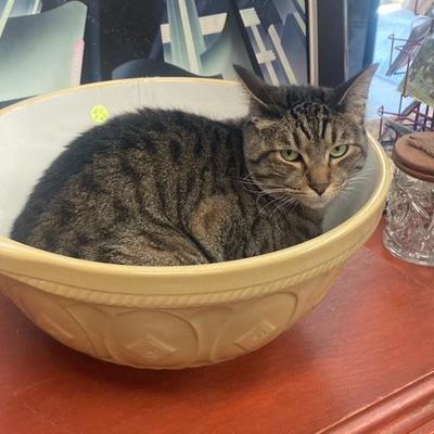 Sale Photo Thumbnail #72