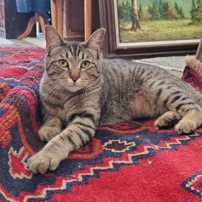 Sale Photo Thumbnail #52