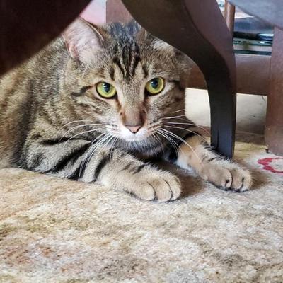 Sale Photo Thumbnail #34