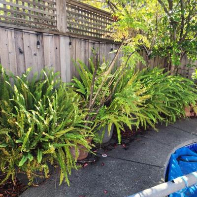 Sale Photo Thumbnail #89