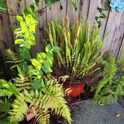 Sale Photo Thumbnail #88