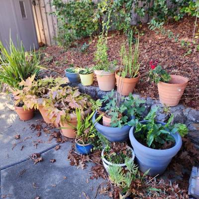 Sale Photo Thumbnail #108