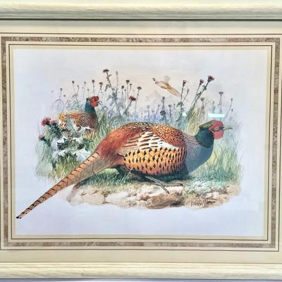 Framed Decorative Print After J. Wolf (1870) – Male Pheasant in Landscape