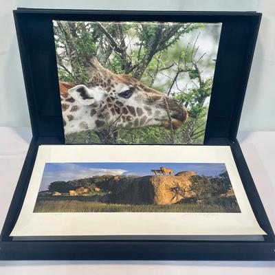 Thomas D. Mangelsen Signed Limited Edition Wildlife Portfolio - “The Natural World” 220/500