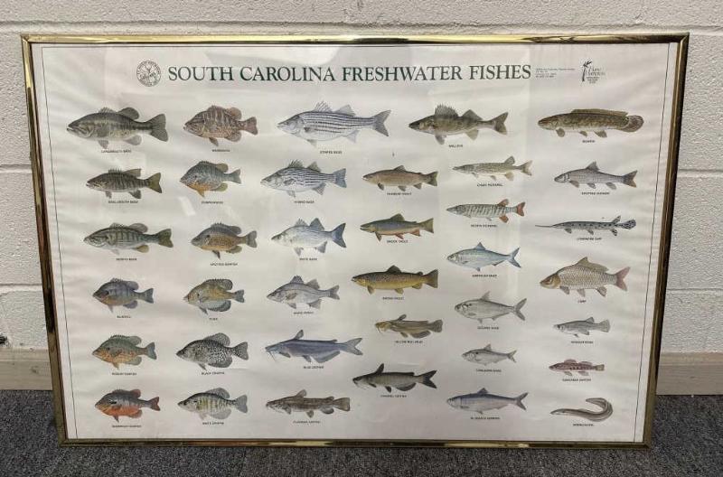 Sale Photo Thumbnail #320