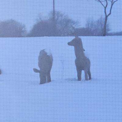 Sale Photo Thumbnail #468