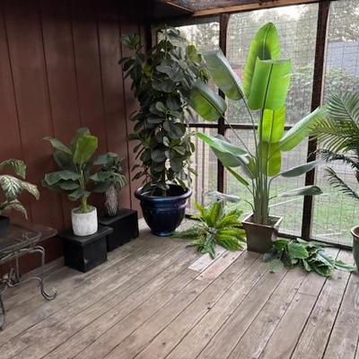 Sale Photo Thumbnail #86