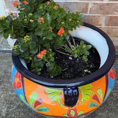 Hand Round Painted Pottery Planter