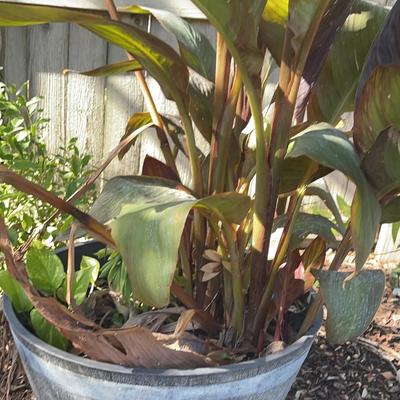 Wood Effect Barrel Planter Gray Plastic