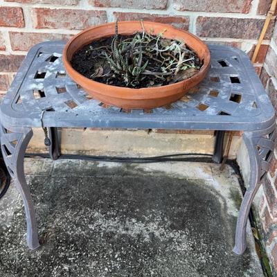 Cast Iron Table And Plant 