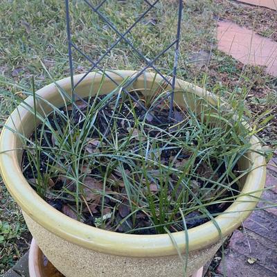 Large Light Green Planter Pot
