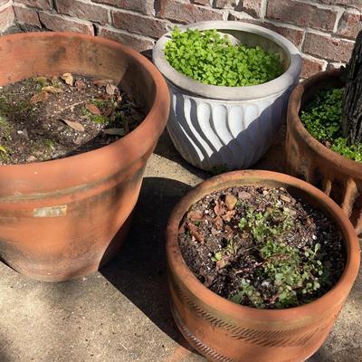 Terracotta And Plastic Planter Pot (4)