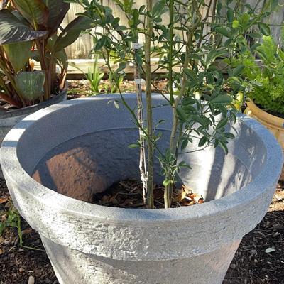 Large Plastic Grey Planter Pot
