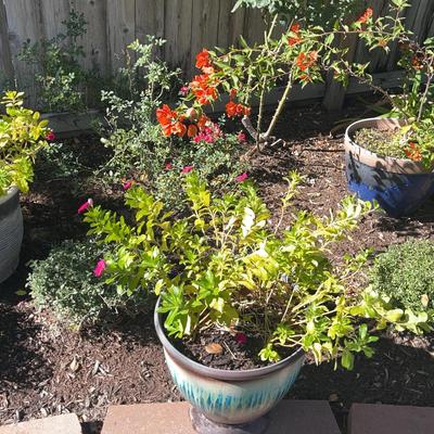 Set Of 3 Planter Pots